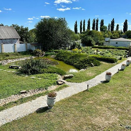 Maison Blanche Ecohousе Mytnitsa Eksteriør billede
