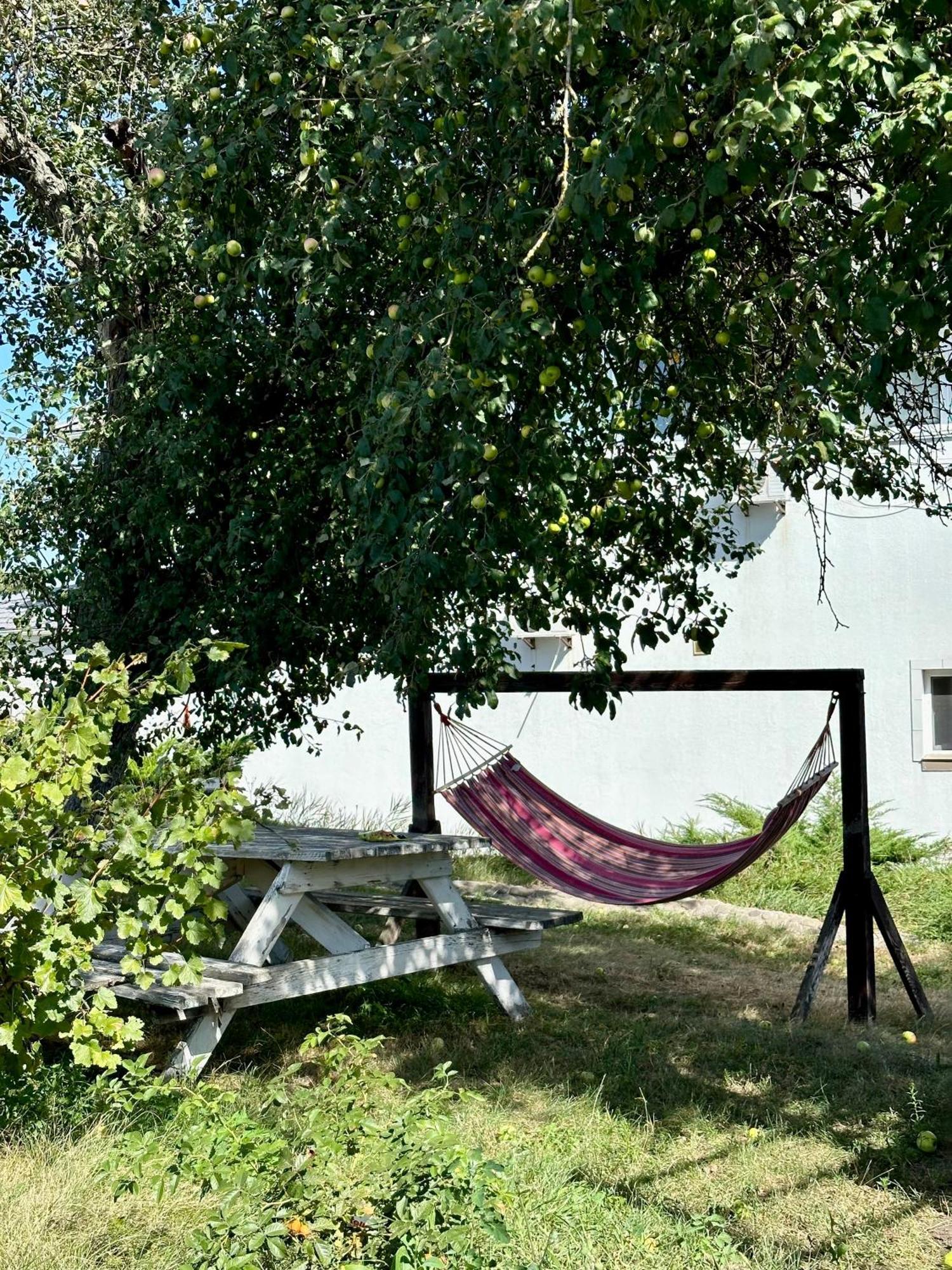 Maison Blanche Ecohousе Mytnitsa Eksteriør billede