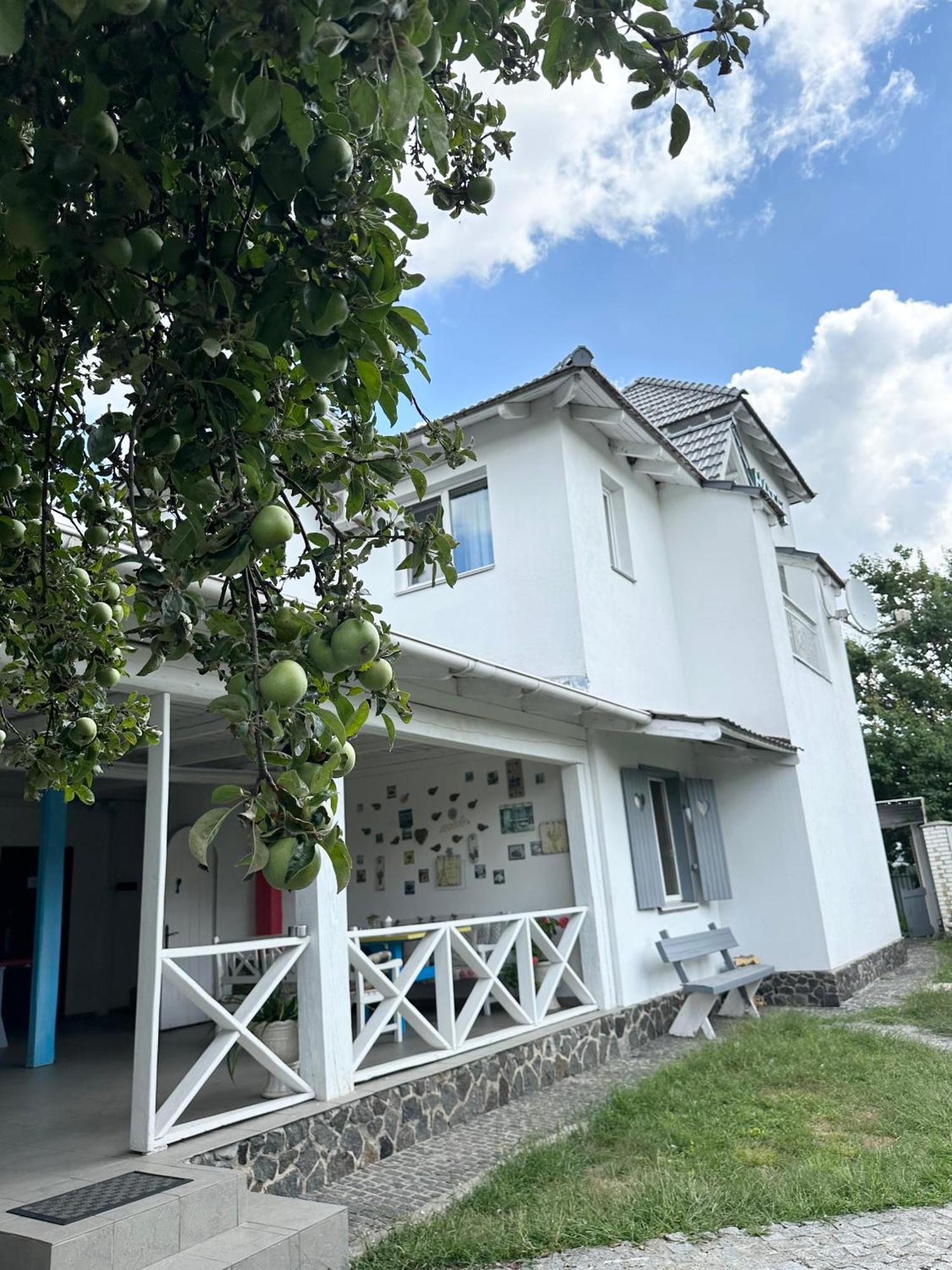 Maison Blanche Ecohousе Mytnitsa Eksteriør billede