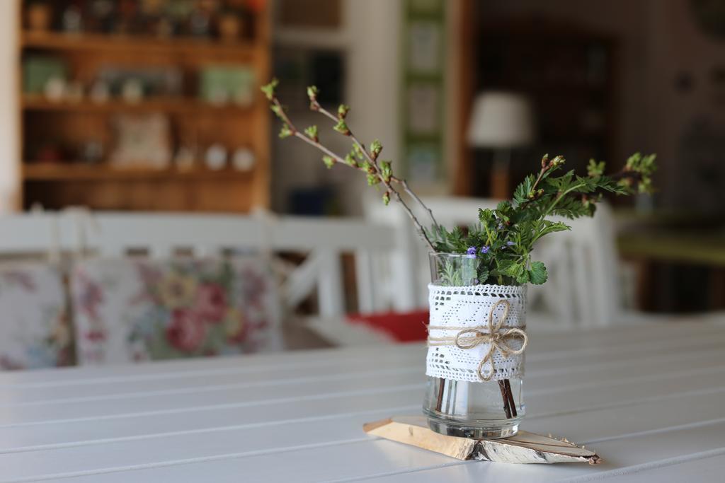 Maison Blanche Ecohousе Mytnitsa Eksteriør billede