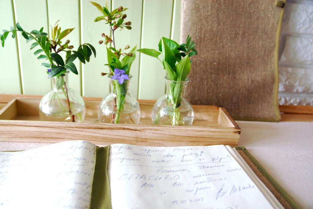 Maison Blanche Ecohousе Mytnitsa Eksteriør billede